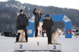 Lenk 2012 SM